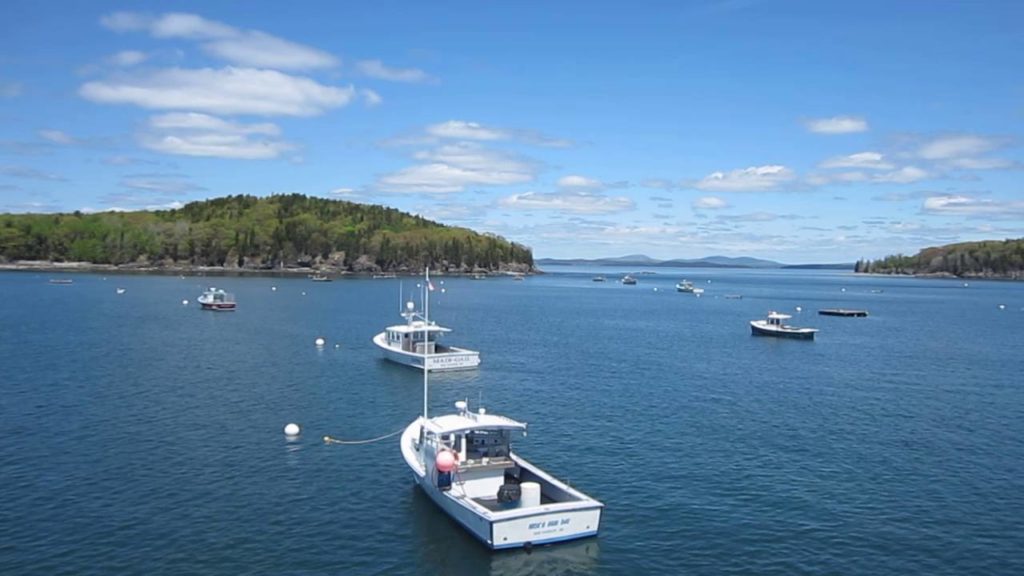 whale watching cruise kennebunkport maine